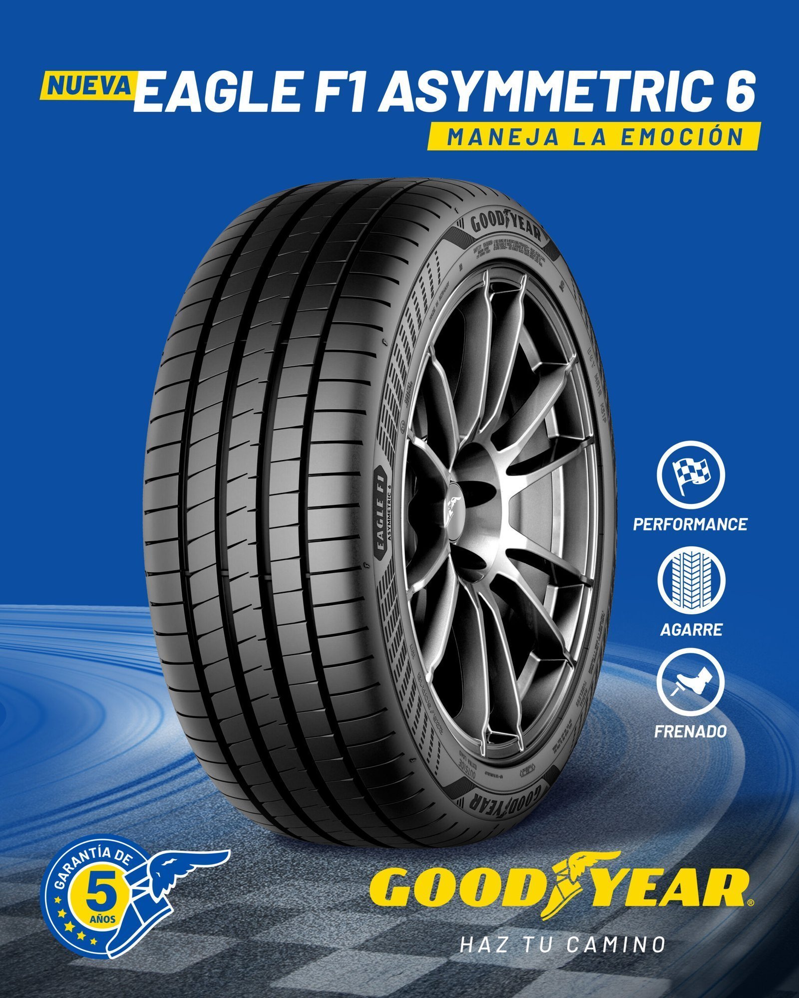 255/40R19 Goodyear Eagle F1 Asymmetric 6 XL 100 Y