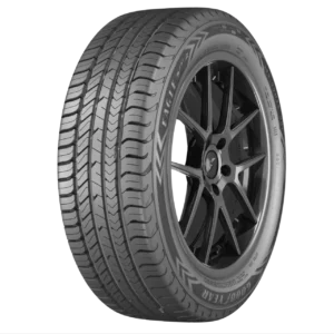 205/55R16 Goodyear Eagle Sport 2 91V
