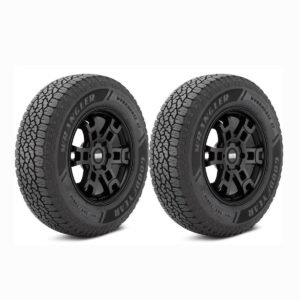 Kit x2 205/60R15 Goodyear Wrangler Workhorse AT 91 H SL