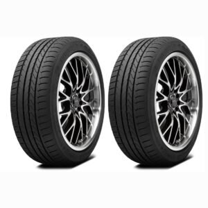 Kit x2 195/55R16 Goodyear EfficientGrip Performance ROF 87 W